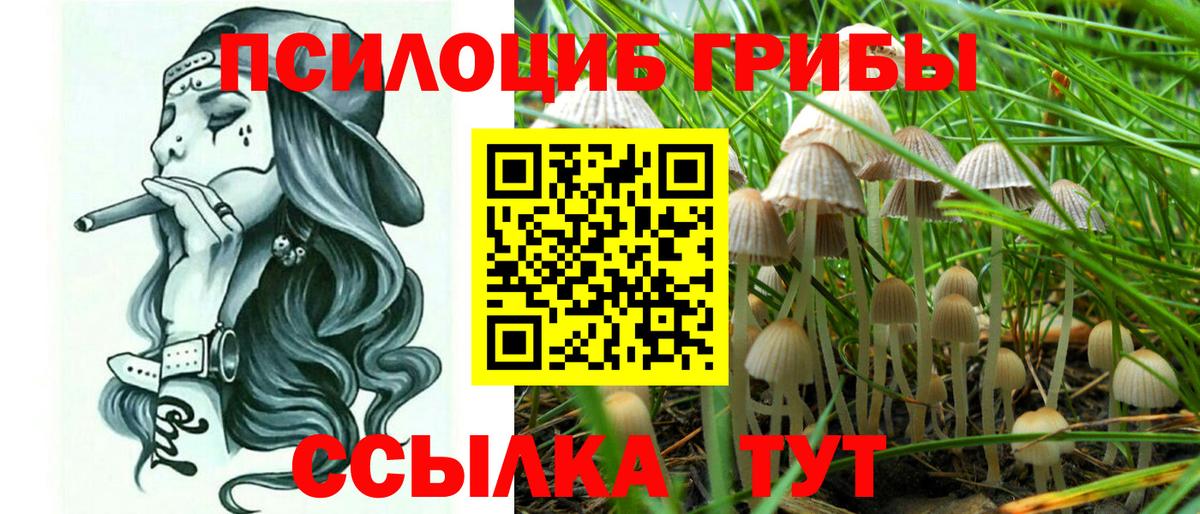 Псилоцибиновые грибы прущие грибы  Галлюциногенные грибы Psilocybine cubensis  Вход с VPN  Мариинск 